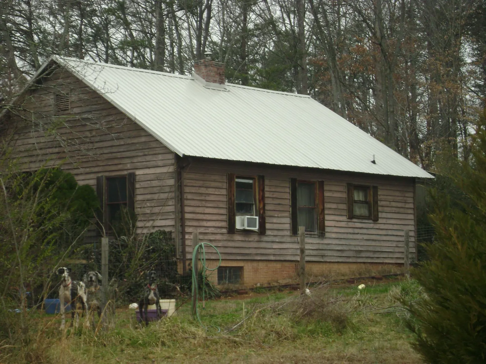 White metal roof on an old wood sided farmhouse, from a Asphalt Shingle Roof Repair job in Morrison